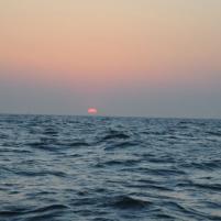 Lowestoft NVvT 2008-20