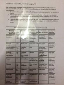 Opstelling, Uisge Beatha, Zeilen, Watersport