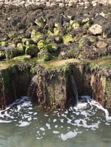 Afgaand tij, Uisge Beatha, Zeilen, Watersport