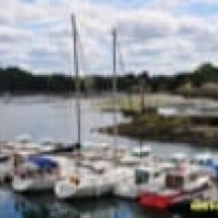 Mastenmaker op bezoek