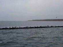 Rijp over strekdam, Uisge Beatha, Zeilen, Watersport Rijp over strekdam, Uisge Beatha, Zeilen, Watersport