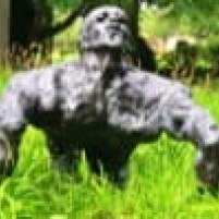 Rijden en wandelen door Jersey