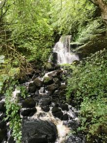 Tobermory, bospad, Uisge Beatha, Zeilen, Watersport Tobermory, bospad, Uisge Beatha, Zeilen, Watersport
