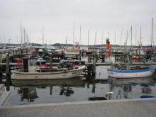 Havengezicht Maasholm, Uisge Beatha, Zeilen, Watersport Havengezicht Maasholm, Uisge Beatha, Zeilen, Watersport