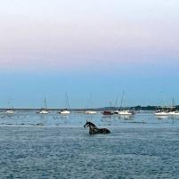 Zomervakantie 2022 - 046