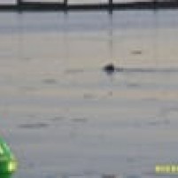 In alle vroegte op pad naar Cowes