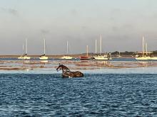 Bijna hoogwater, Uisge Beatha, Zeilen, Watersport