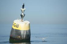 Vogel op boei, Uisge Beatha, Zeilen, Watersport Vogel op boei, Uisge Beatha, Zeilen, Watersport