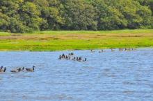 Verzamelen!, Uisge Beatha, Zeilen, Watersport Verzamelen!, Uisge Beatha, Zeilen, Watersport