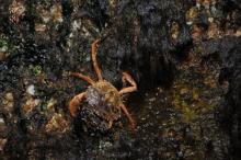 Droogvallen, Uisge Beatha, Zeilen, Watersport