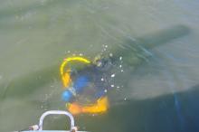 Het zwemt..., Uisge Beatha, Zeilen, Watersport Het zwemt..., Uisge Beatha, Zeilen, Watersport