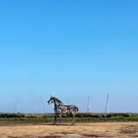 Zomervakantie 2022 - 043
