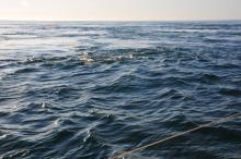 Swell, Uisge Beatha, Zeilen, Watersport Swell, Uisge Beatha, Zeilen, Watersport