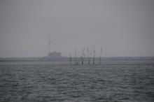 Zicht op de Deltawerken, Uisge Beatha, Zeilen, Watersport Zicht op de Deltawerken, Uisge Beatha, Zeilen, Watersport