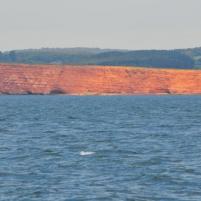 Lyme_Reges-Exmouth - 10