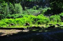 Restant pottenbakkerij, Uisge Beatha, Zeilen, Watersport