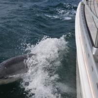 StVaast-GrandcampMaisy - 07