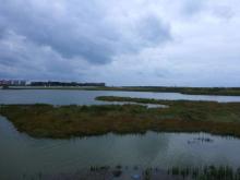 Nieuwpoort, Uisge Beatha, Zeilen, Watersport Nieuwpoort, Uisge Beatha, Zeilen, Watersport