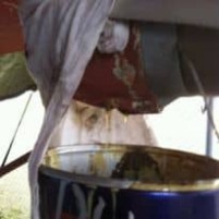 Saildrive met leven erin