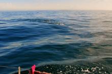 Het stroomt, Uisge Beatha, Zeilen, Watersport Het stroomt, Uisge Beatha, Zeilen, Watersport