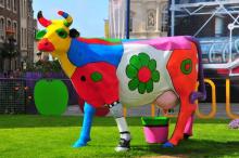 Kunst, Uisge Beatha, Zeilen, Watersport