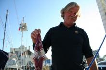 Truc met de kip, Uisge Beatha, Zeilen, Watersport Truc met de kip, Uisge Beatha, Zeilen, Watersport