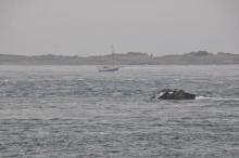 Gierende stroom, Uisge Beatha, Zeilen, Watersport Gierende stroom, Uisge Beatha, Zeilen, Watersport