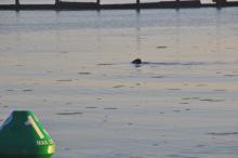 Uitzwaaien, Uisge Beatha, Zeilen, Watersport