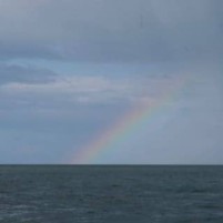 Zeiltocht van Dublin naar Arklow