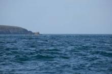 Eddies in Ramsey Sound, Uisge Beatha, Zeilen, Watersport Eddies in Ramsey Sound, Uisge Beatha, Zeilen, Watersport