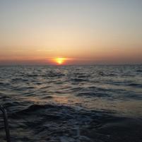 Lowestoft NVvT 2008-61