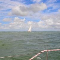 Blankenberge-Vlissingen - 8