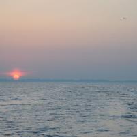 Lowestoft NVvT 2008-10