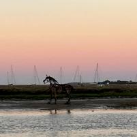 Zomervakantie 2022 - 028