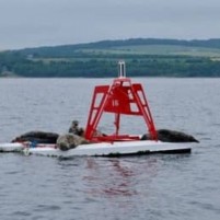 Zonnige zeiltocht van Edinburgh naar Arbroath
