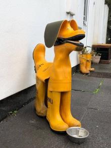 RNLI Creatief, Uisge Beatha, Zeilen, Watersport