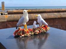 Handwerkclubjes, Uisge Beatha, Zeilen, Watersport Handwerkclubjes, Uisge Beatha, Zeilen, Watersport