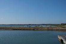 Meeuwenkolonie, Uisge Beatha, Zeilen, Watersport Meeuwenkolonie, Uisge Beatha, Zeilen, Watersport