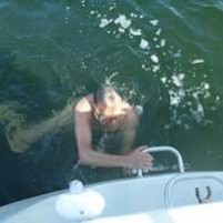 Van veel wind to veel zon