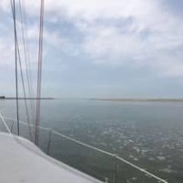 Onverwachte verrassing