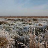 Schaatsen met een pijnlijke afloop