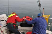 Val er niet uit!, Uisge Beatha, Zeilen, Watersport Val er niet uit!, Uisge Beatha, Zeilen, Watersport