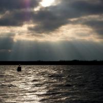 Grevelingen_12dec09-06