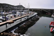 Haven Dielette, Uisge Beatha, Zeilen, Watersport Haven Dielette, Uisge Beatha, Zeilen, Watersport
