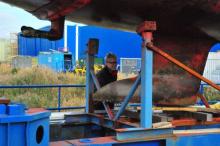 Weinig aangroei, Uisge Beatha, Zeilen, Watersport