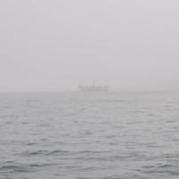 Carteret-Dielette - 08