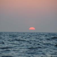 Lowestoft NVvT 2008-21