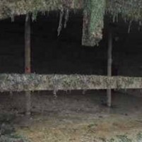 Van Eastbourne naar Dieppe