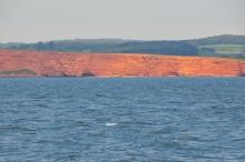 Red Cliff's of Devon, Uisge Beatha, Zeilen, Watersport
