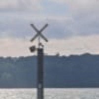 We can squeeze your boat a little